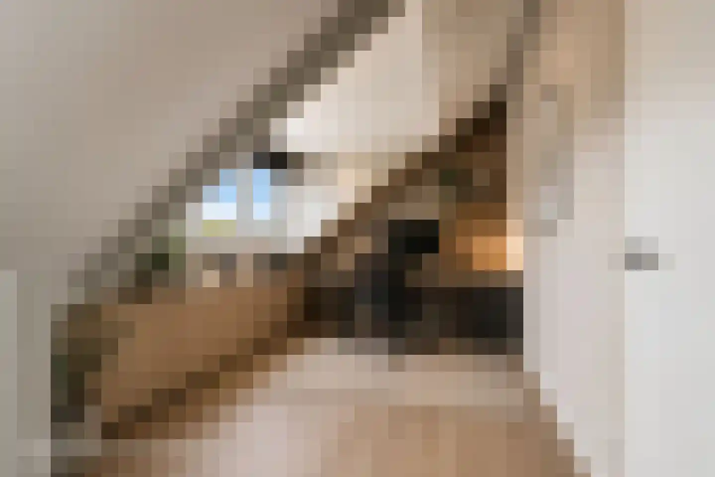 Cornelis Trooststraat 4 Krimpen aan den IJssel thumbnail 23