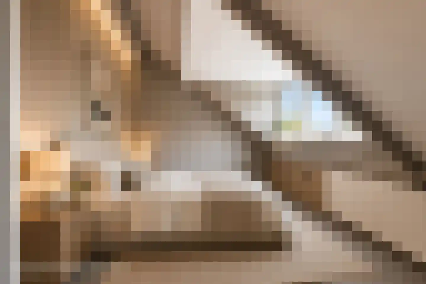 Cornelis Trooststraat 4 Krimpen aan den IJssel thumbnail 25