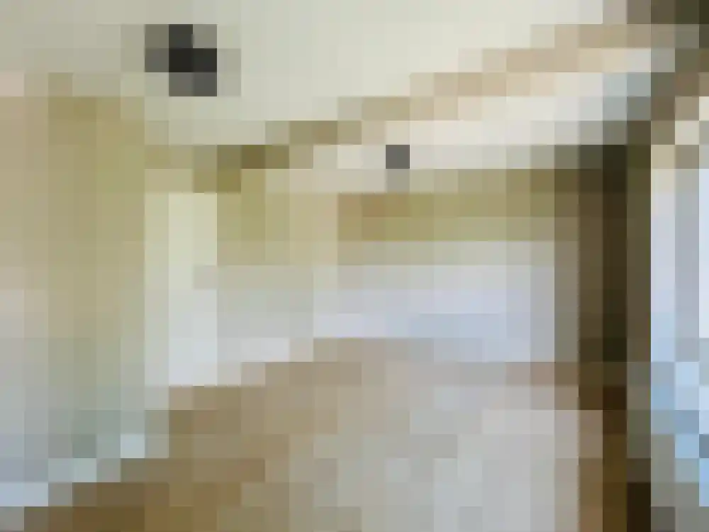 Cornelis Trooststraat 40 Amsterdam thumbnail 9