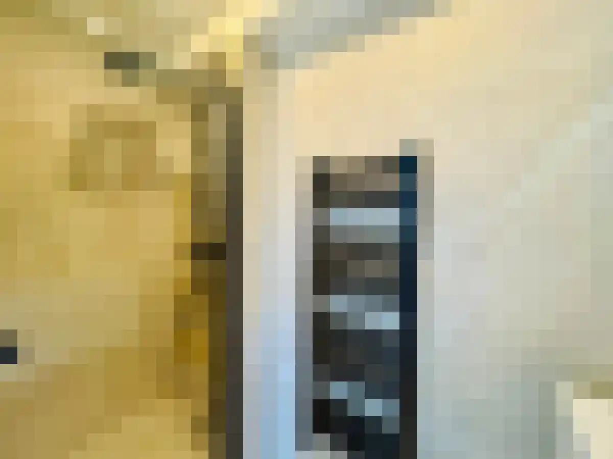 Cornelis Trooststraat 42 Amsterdam thumbnail 5