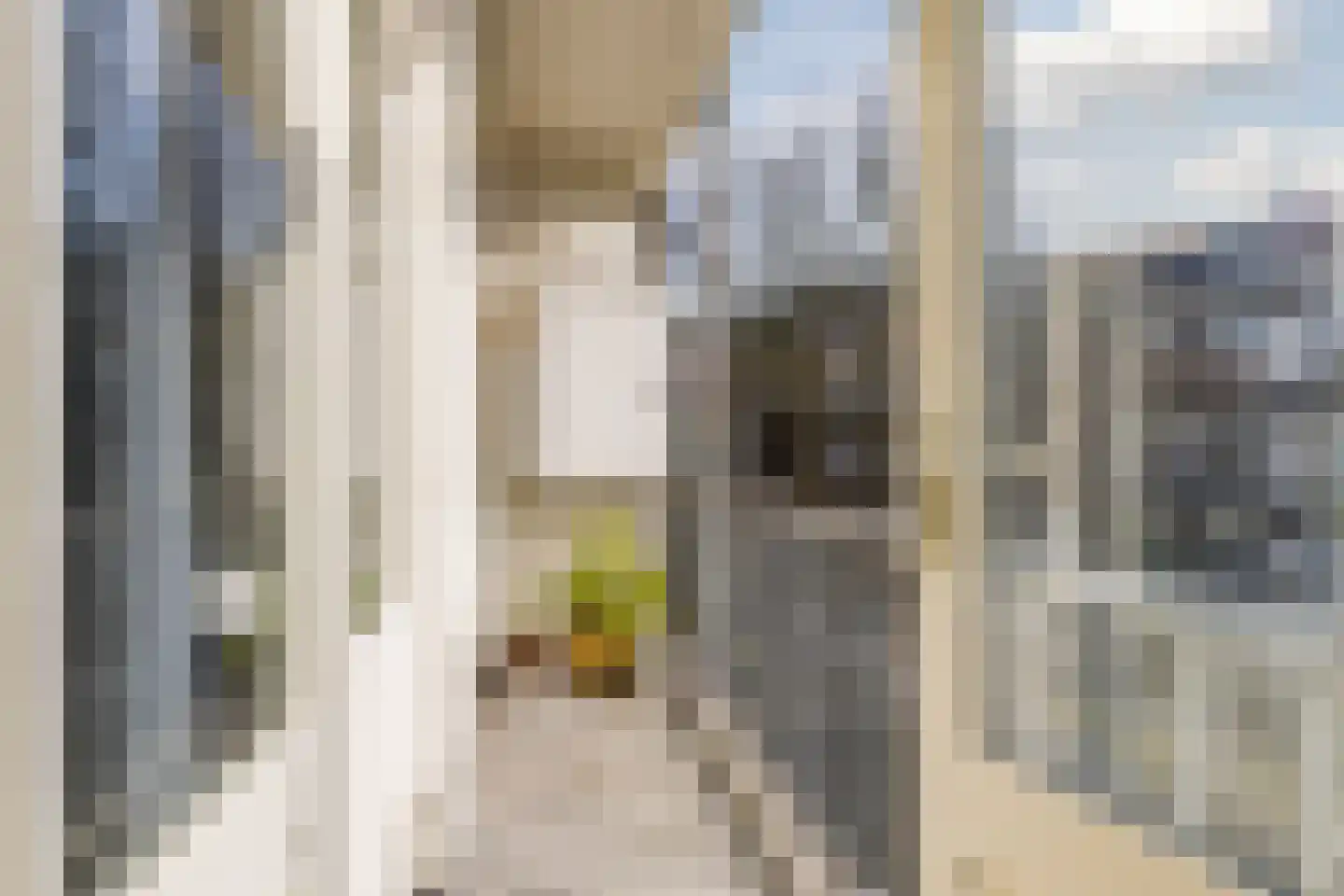 Cornelis Trooststraat 54 2 Amsterdam thumbnail 17