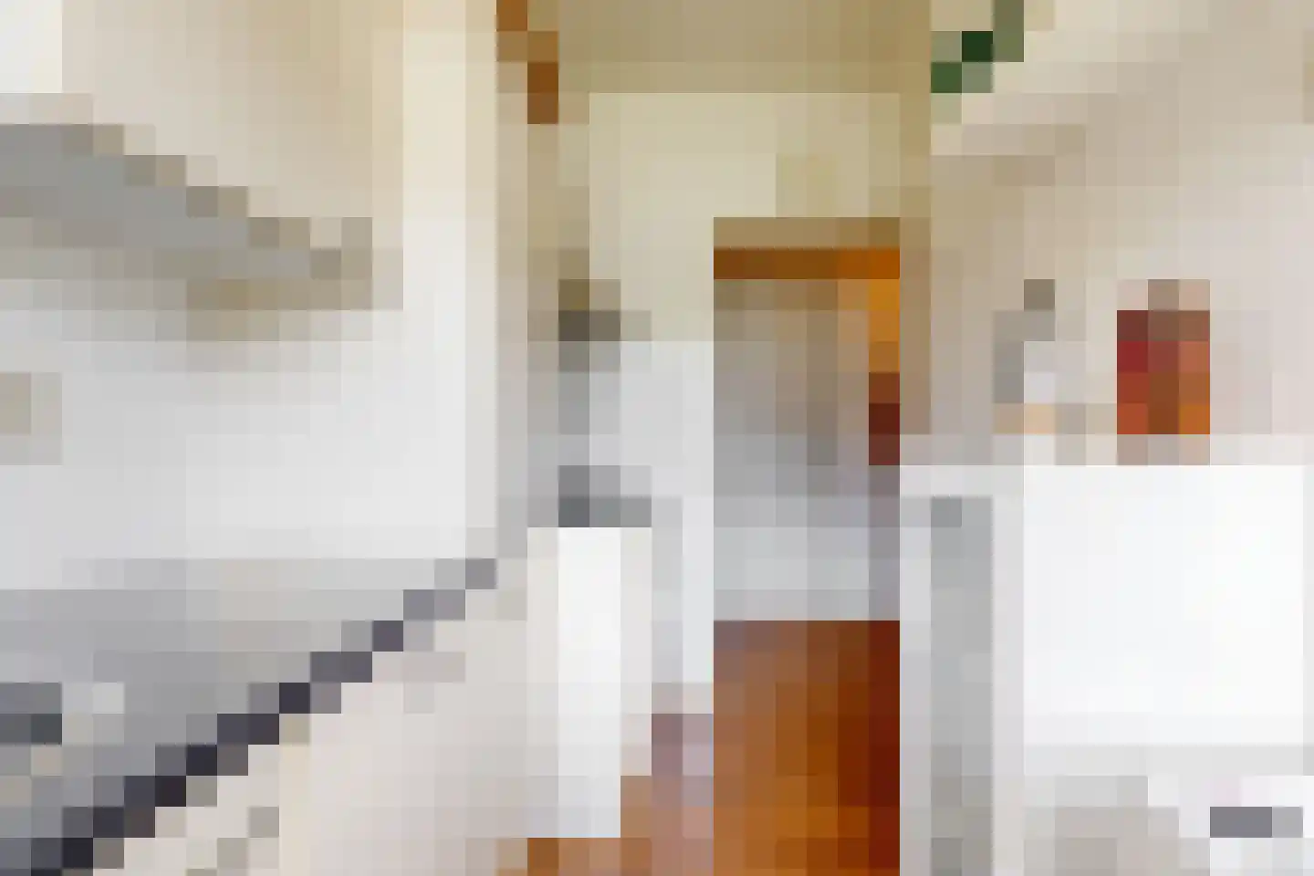 Cornelis Trooststraat 6 2 Amsterdam thumbnail 10