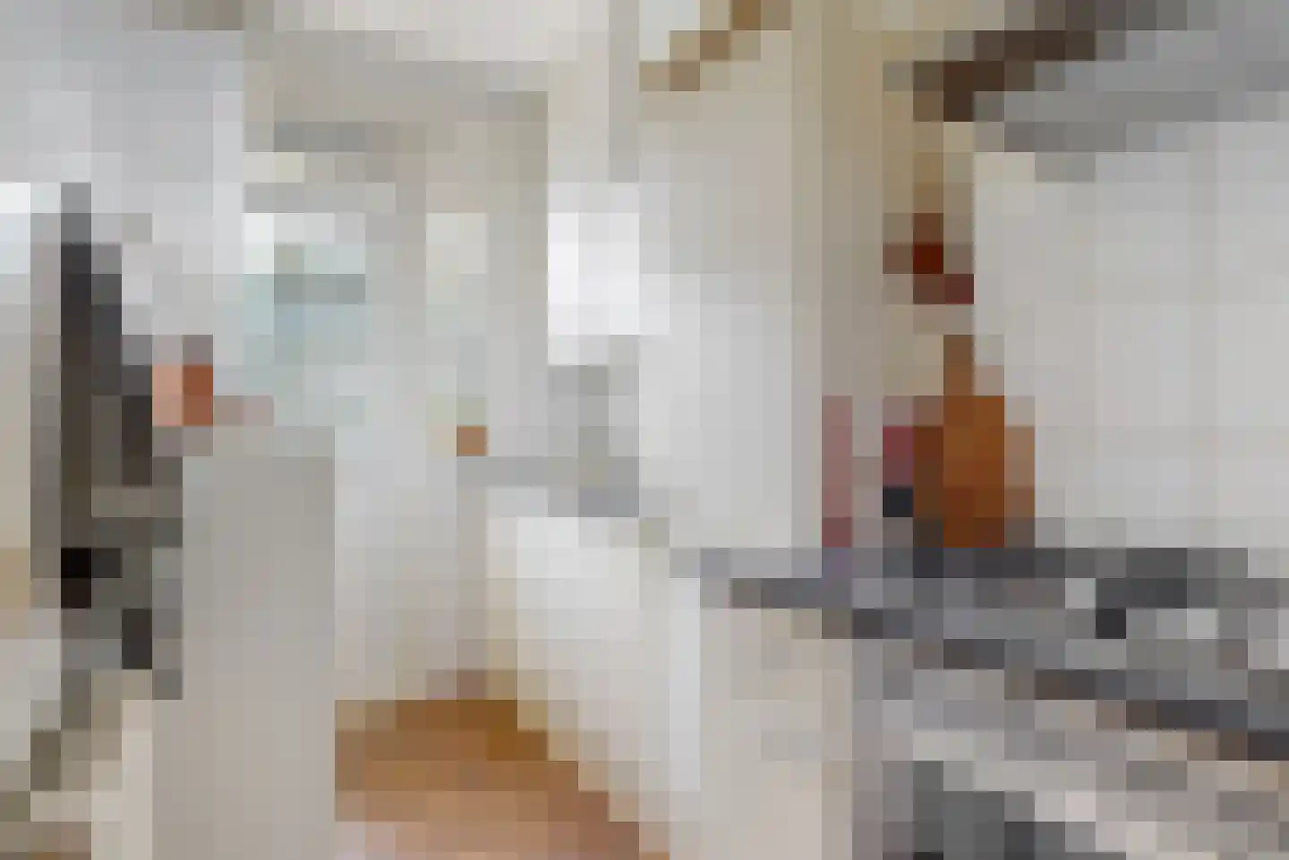 Cornelis Trooststraat 6 2 Amsterdam thumbnail 9