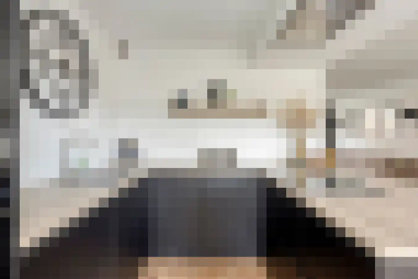 Cornelis Trooststraat 6 Eindhoven thumbnail 11