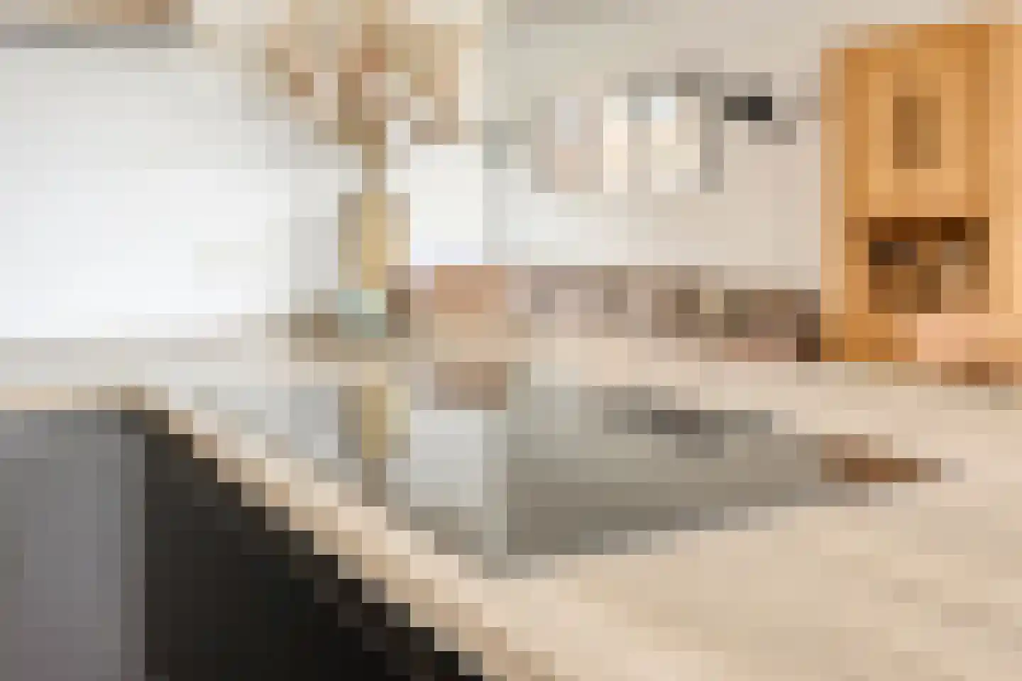 Cornelis Trooststraat 6 Eindhoven thumbnail 13