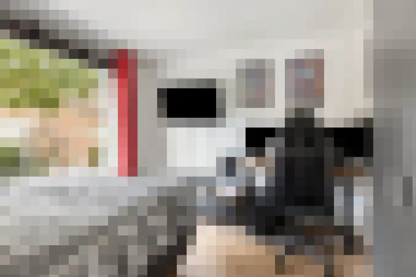 Cornelis Trooststraat 6 Eindhoven thumbnail 17