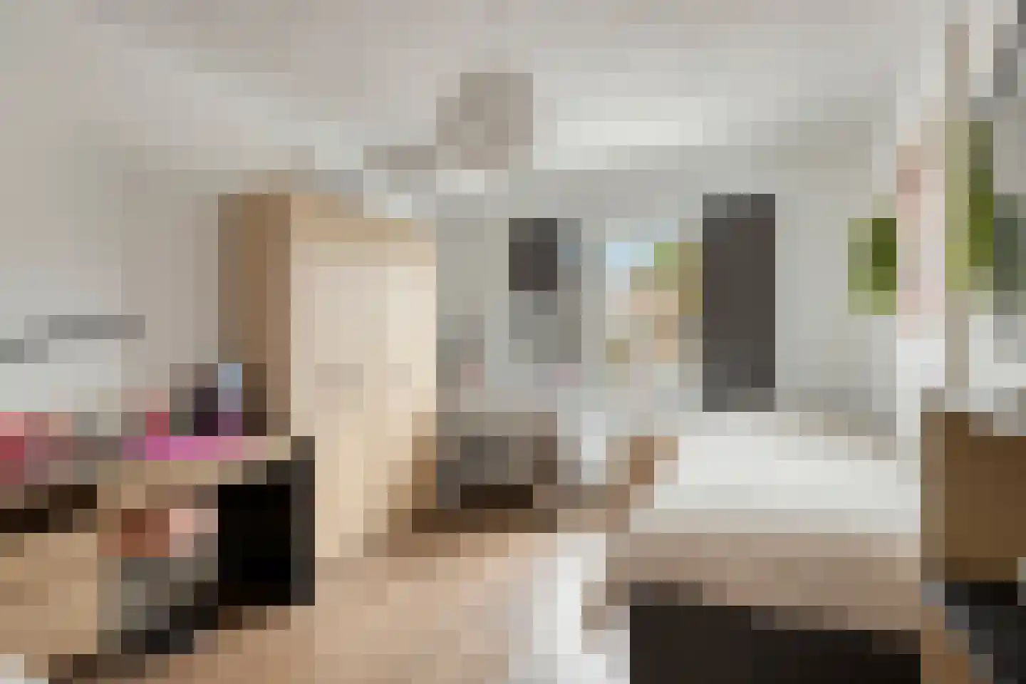 Cornelis Trooststraat 6 Eindhoven thumbnail 20