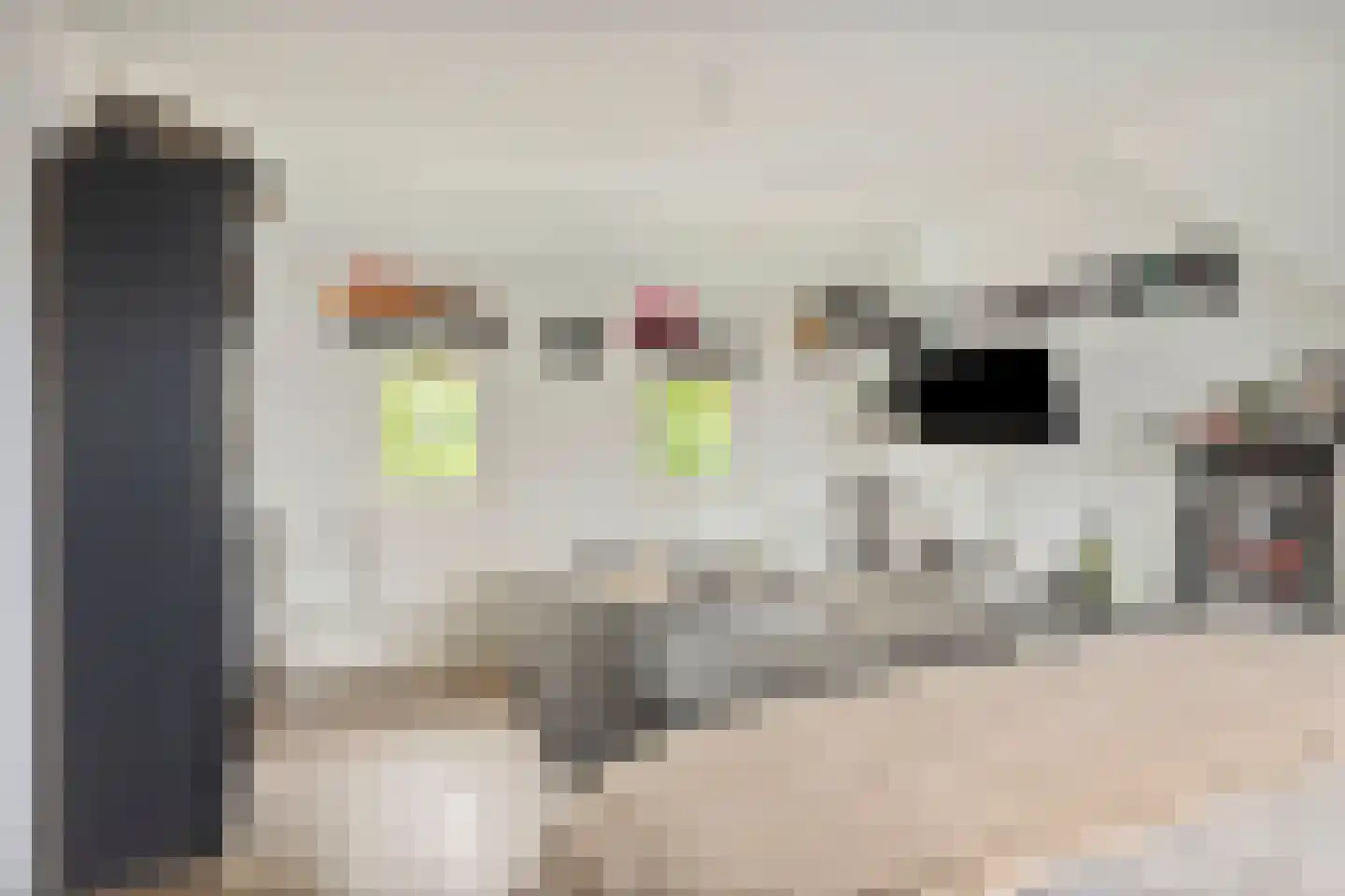 Cornelis Trooststraat 6 Eindhoven thumbnail 27