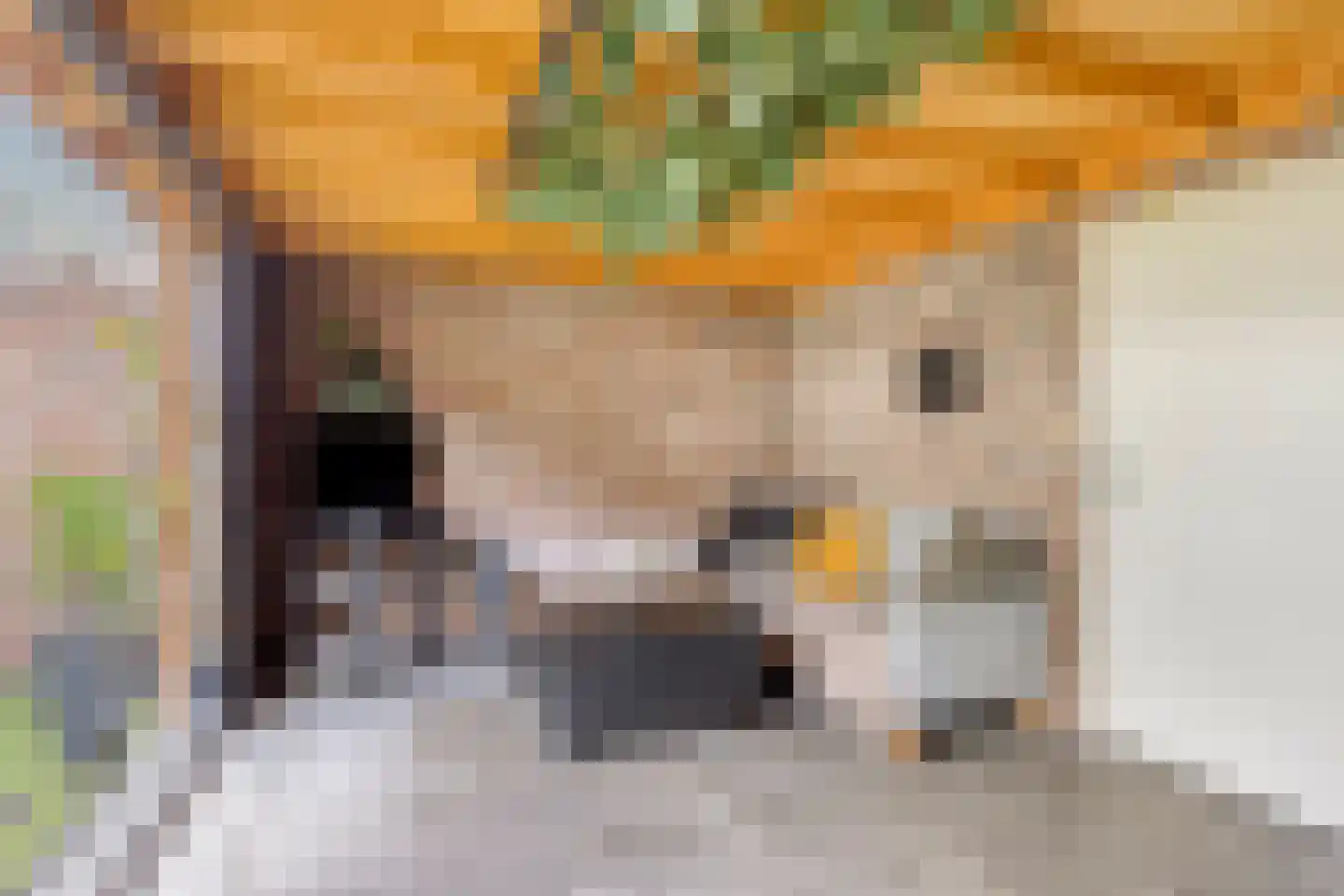 Cornelis Trooststraat 6 Eindhoven thumbnail 30