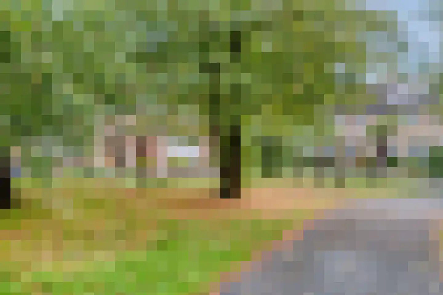 Cornelis Trooststraat 6 Eindhoven thumbnail 34