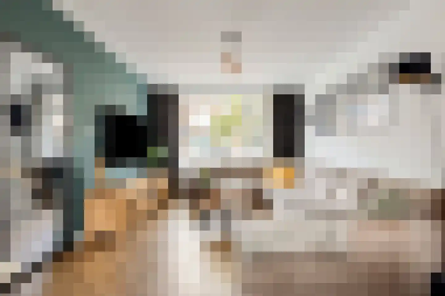 Cornelis Trooststraat 6 Eindhoven thumbnail 4