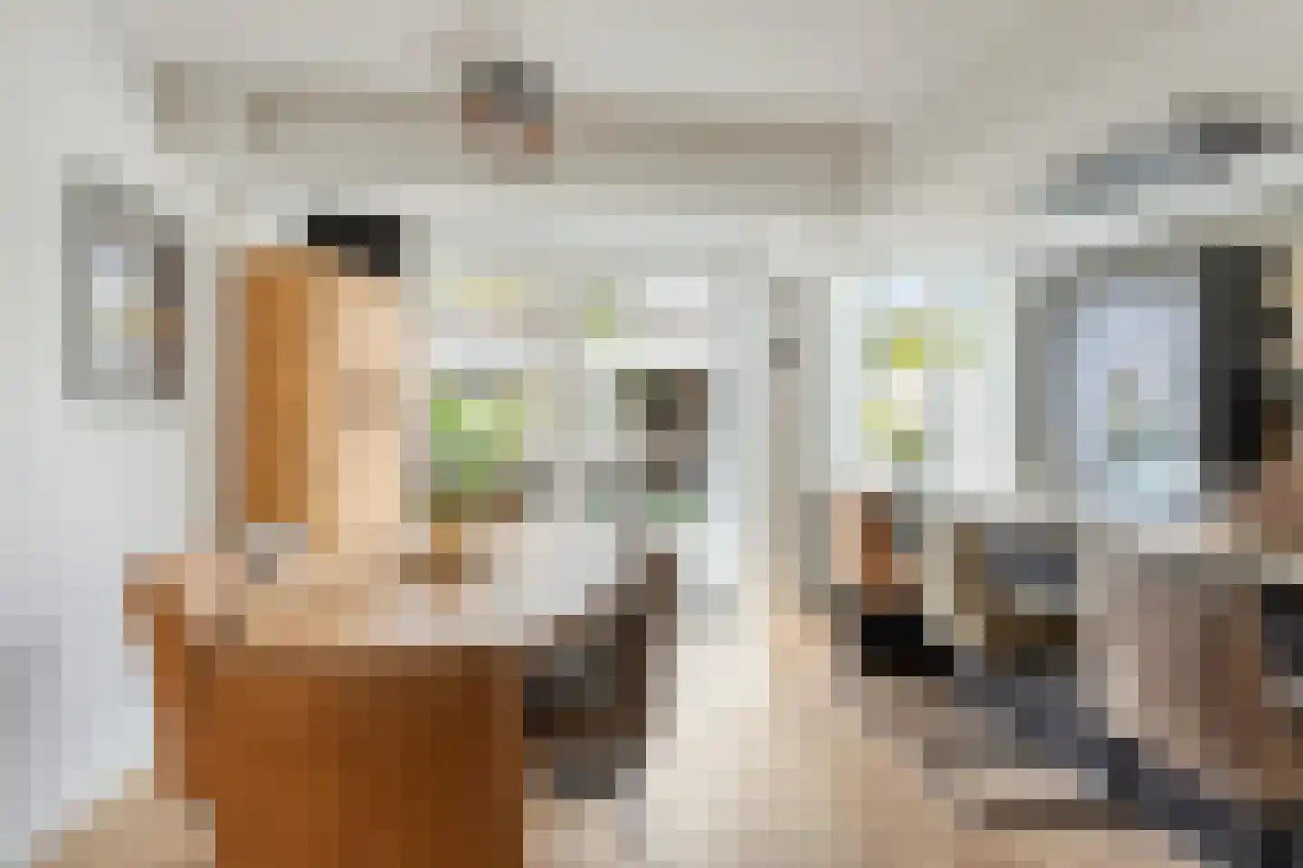 Cornelis Trooststraat 6 Eindhoven thumbnail 6