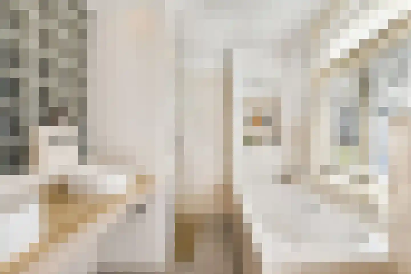 Cornelis Trooststraat 60 3 Amsterdam thumbnail 19