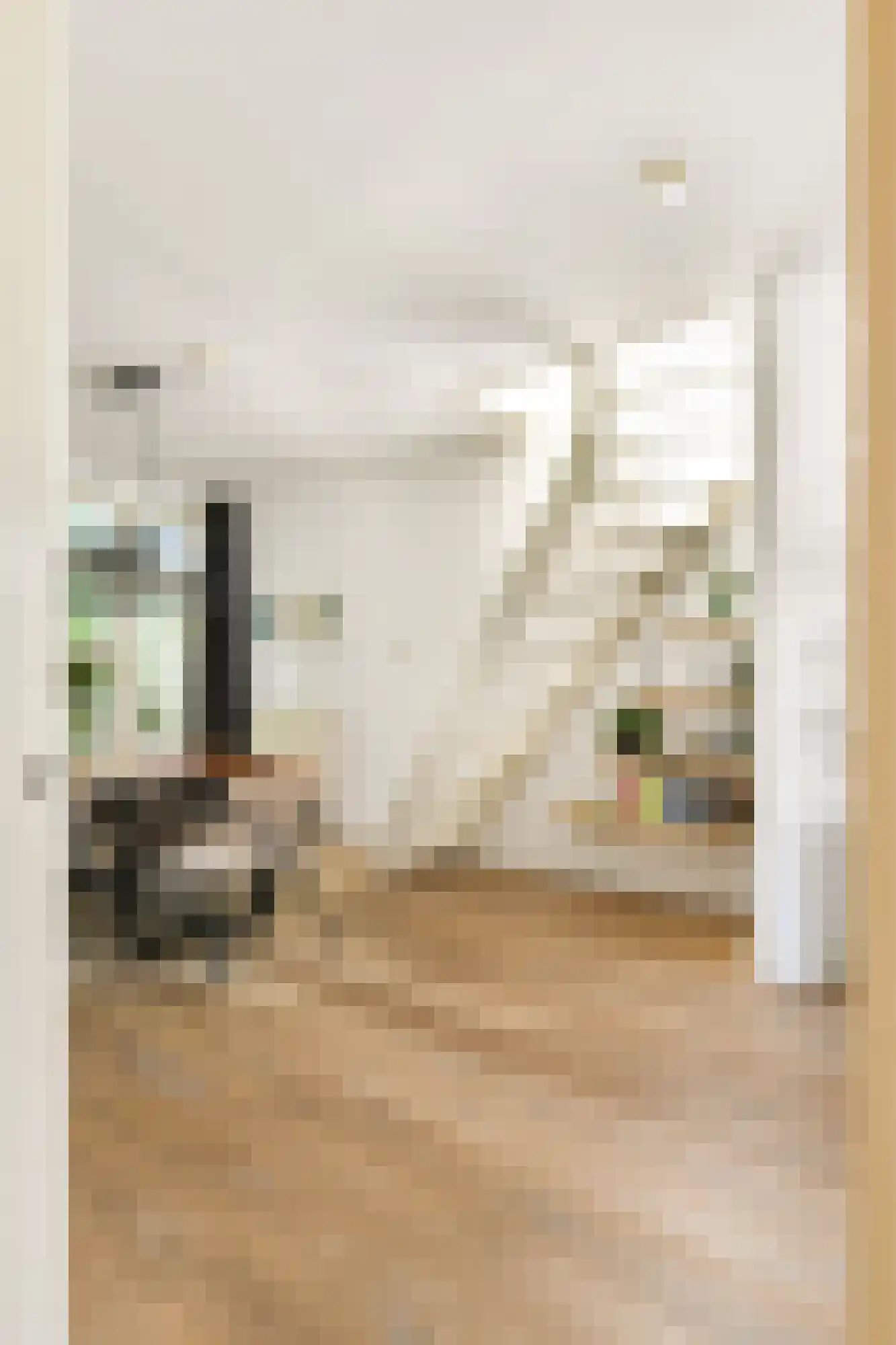 Cornelis Trooststraat 60 3 Amsterdam thumbnail 6