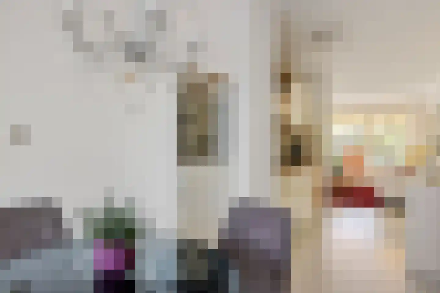 Cornelis Trooststraat 9 Leeuwarden thumbnail 10