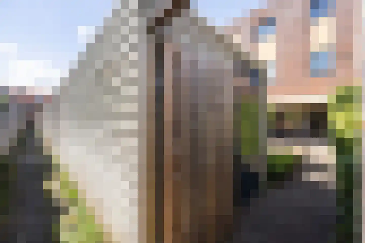 Cornelis Trooststraat 9 Leeuwarden thumbnail 32