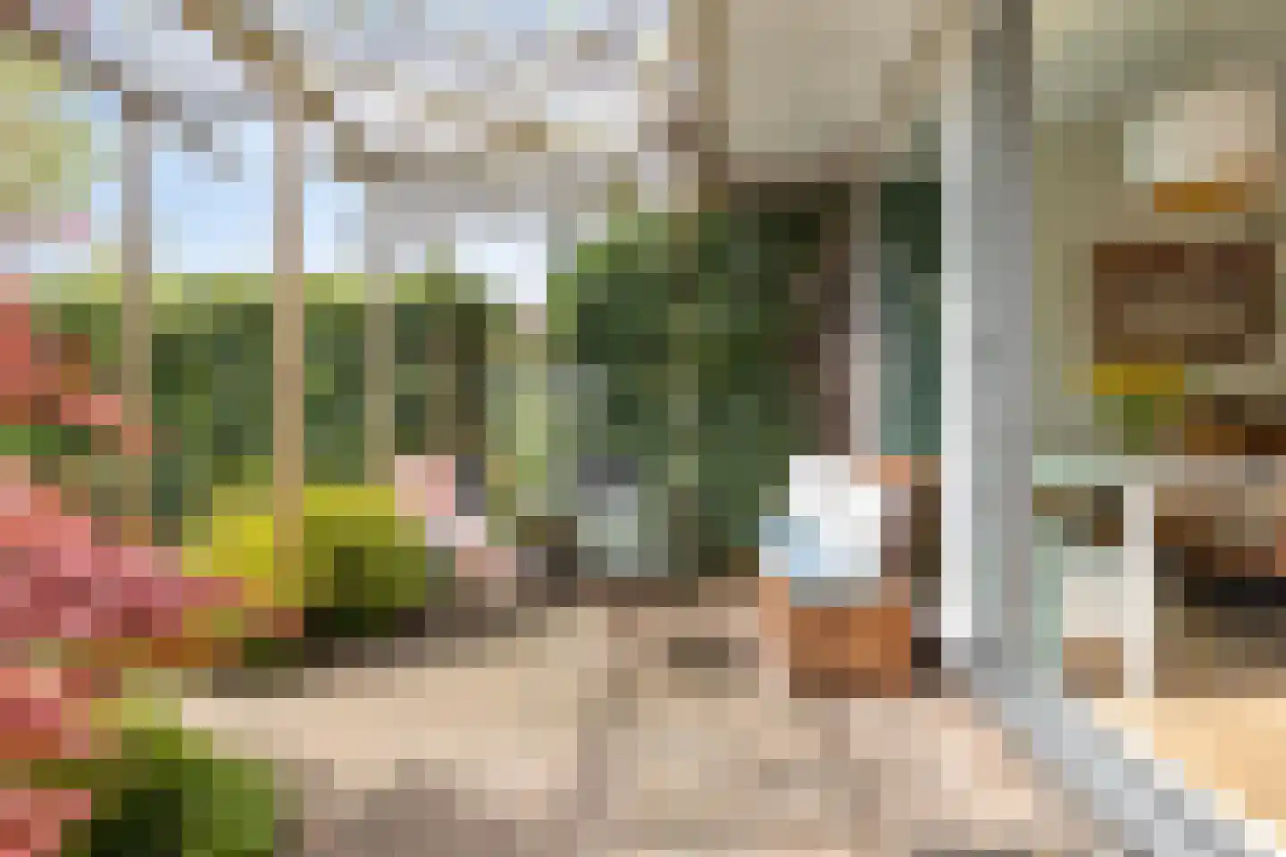 Cornelis van Alkemadestraat 1 Amsterdam thumbnail 15