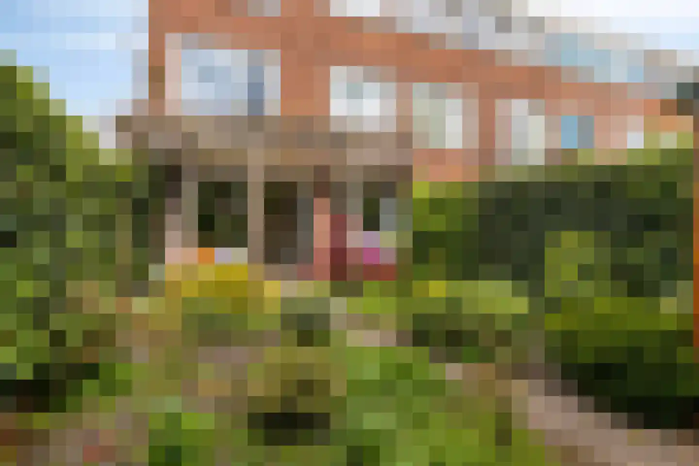 Cornelis van Alkemadestraat 1 Amsterdam thumbnail 47