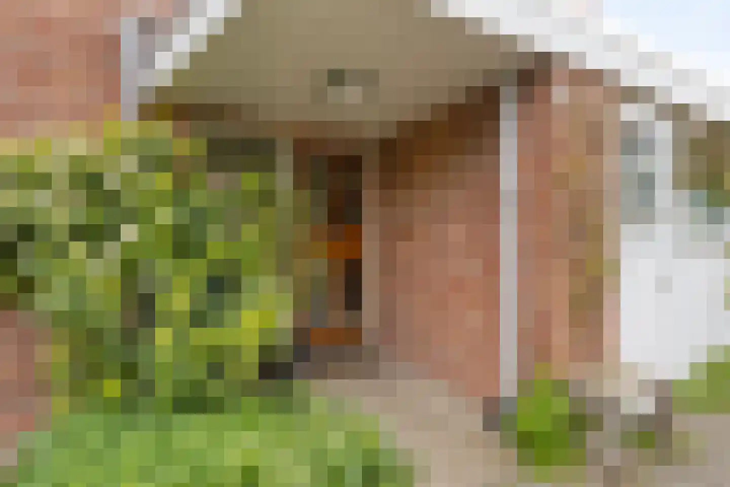 Cornelis van Alkemadestraat 1 Amsterdam thumbnail 5