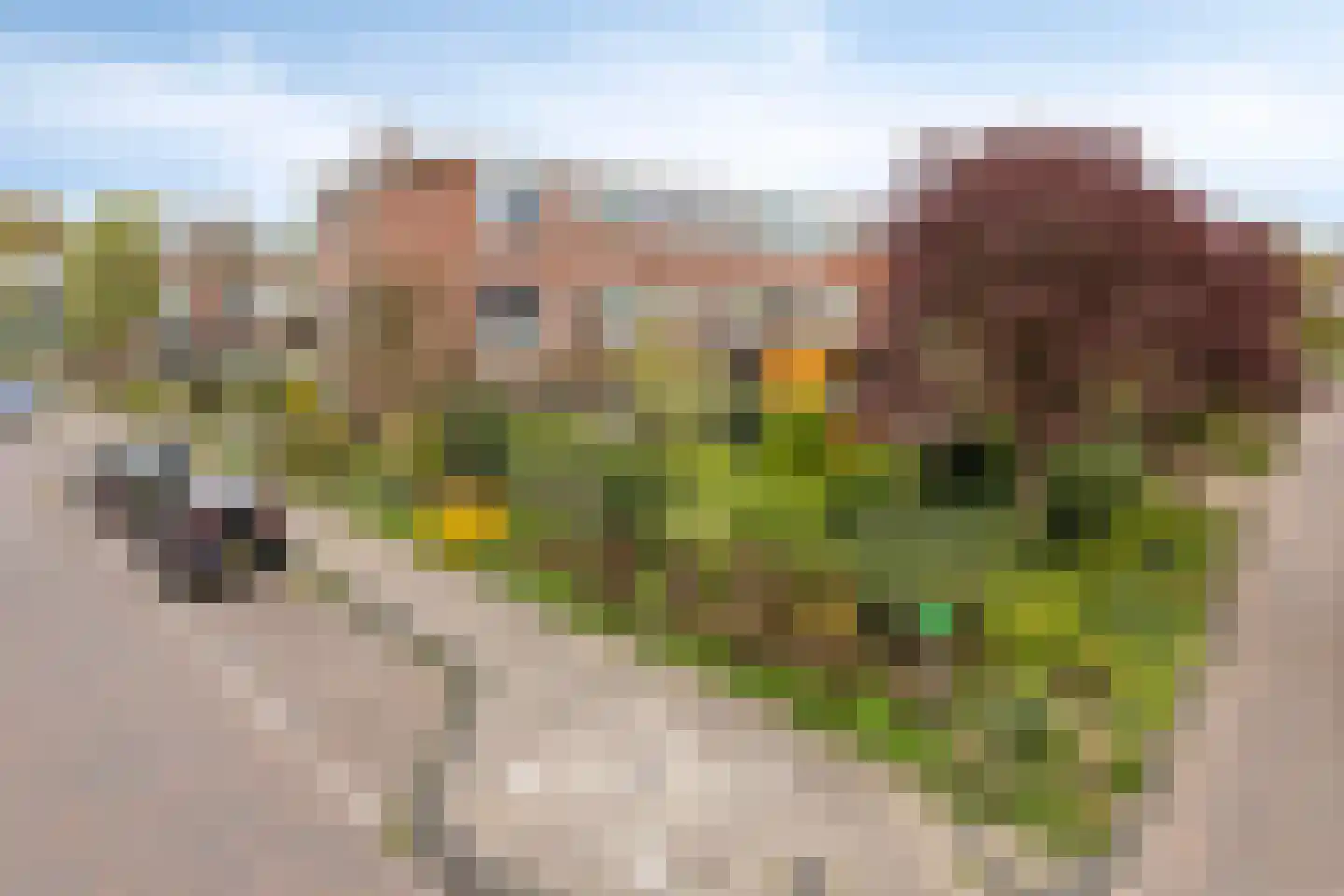 Cornelis van Alkemadestraat 1 Amsterdam thumbnail 55