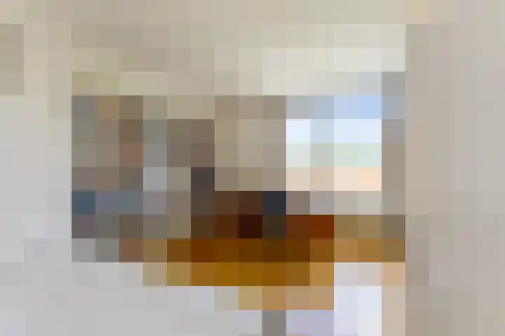 Cornelis van Alkemadestraat 15 Amsterdam thumbnail 35
