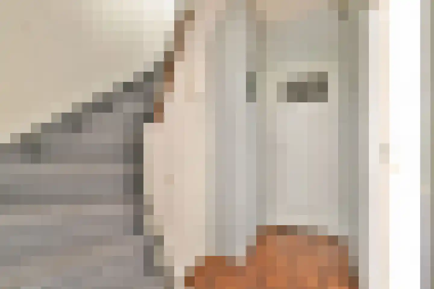 Cornelis van Alkemadestraat 17 Amsterdam thumbnail 12