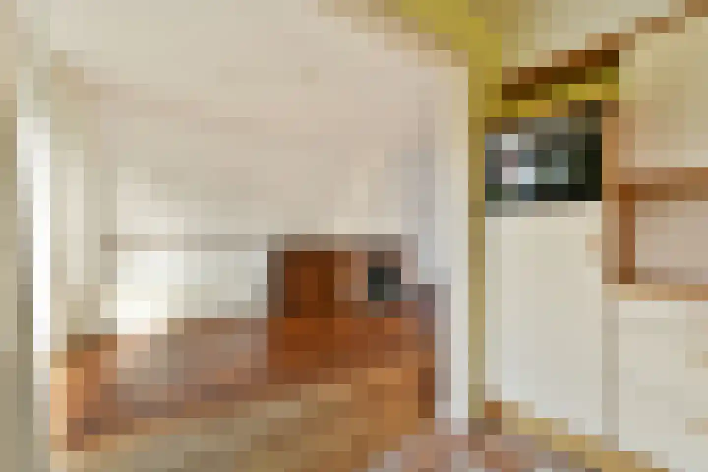 Cornelis van Alkemadestraat 17 Amsterdam thumbnail 7