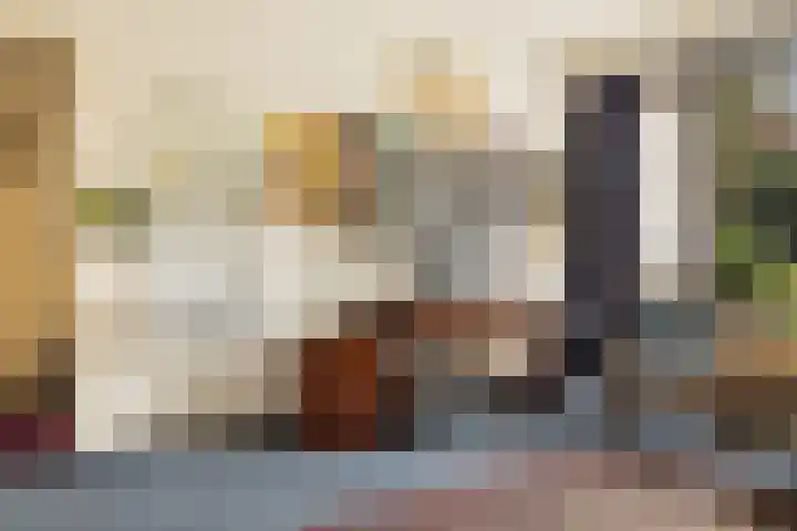 Cornelis van Alkemadestraat 47 Amsterdam thumbnail 14