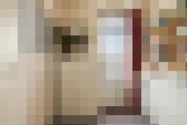 Cornelis van Alkemadestraat 47 Amsterdam thumbnail 36