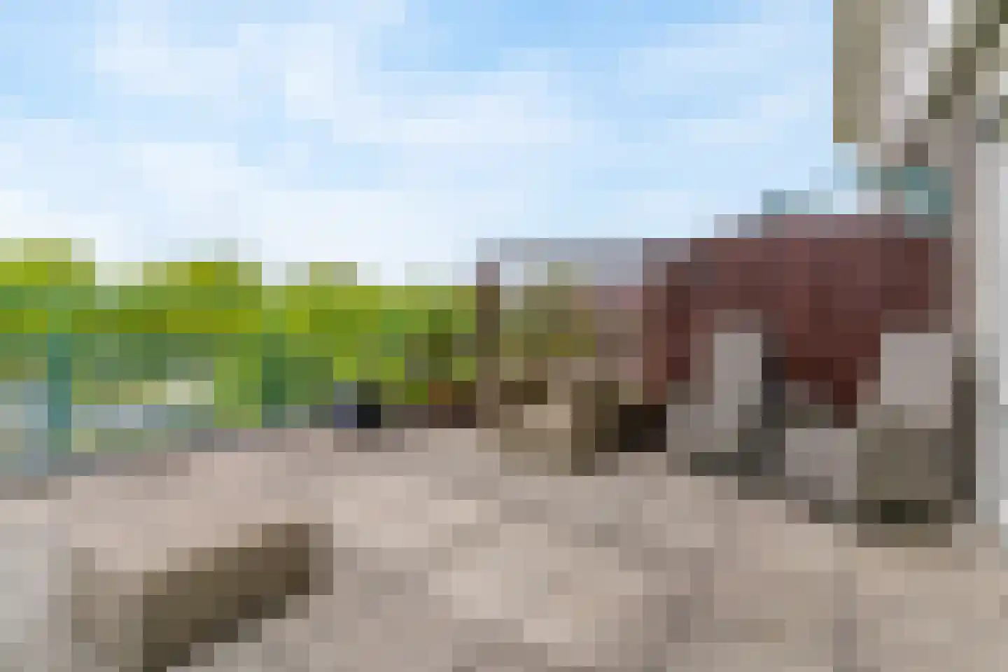 Cornelis van der Kolffstraat 129 Maassluis thumbnail 21