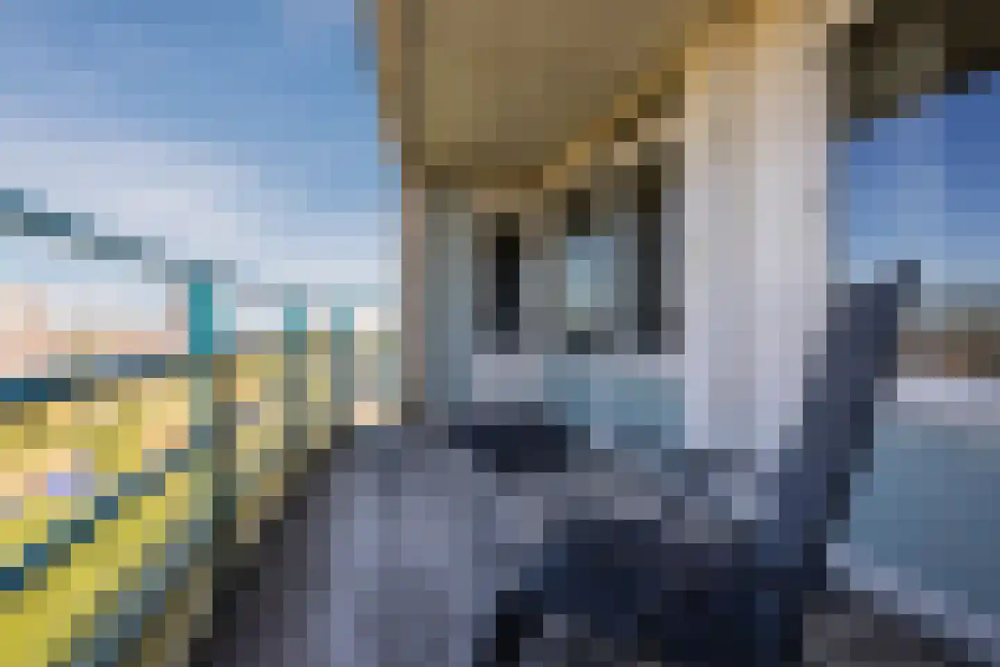 Cornelis van der Kolffstraat 195 Maassluis thumbnail 14