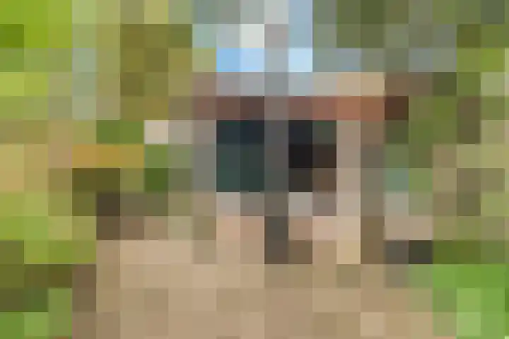 Cornelis van der Lijnlaan 19 Haarlem thumbnail 18
