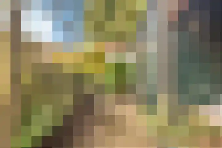 Cornelis van der Lijnlaan 19 Haarlem thumbnail 20