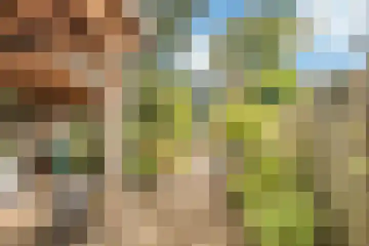 Cornelis van der Lijnlaan 19 Haarlem thumbnail 22