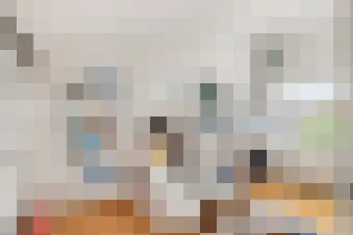 Cornelis van der Lijnlaan 19 Haarlem thumbnail 41