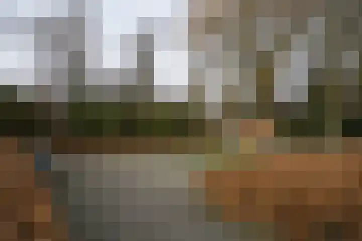 Cornelis van der Lijnlaan 19 Haarlem thumbnail 50