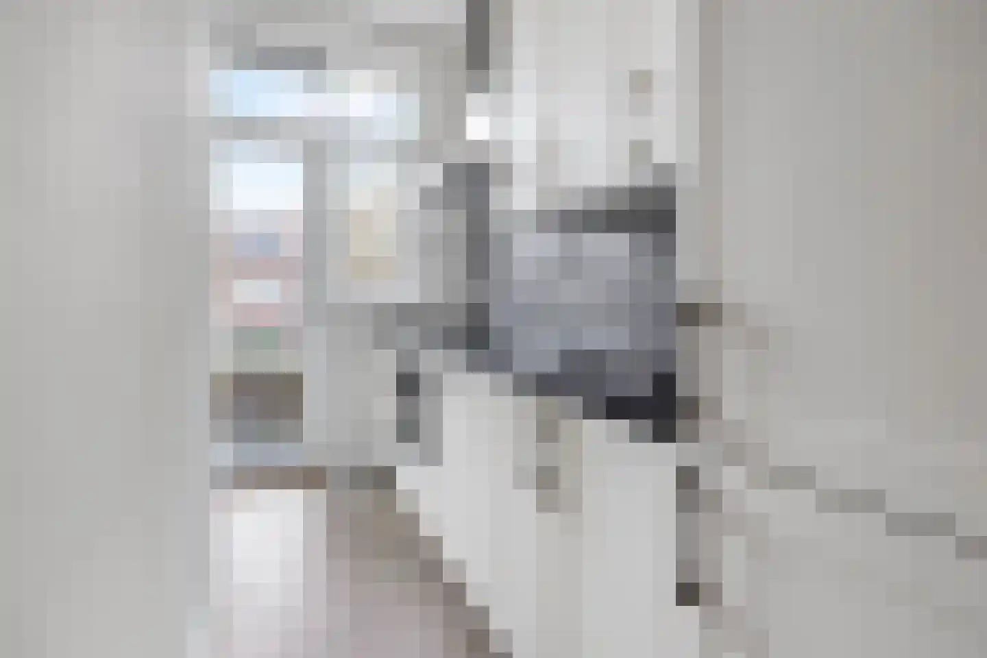 Cornelis van der Lijnstraat 1 D Den Haag thumbnail 12