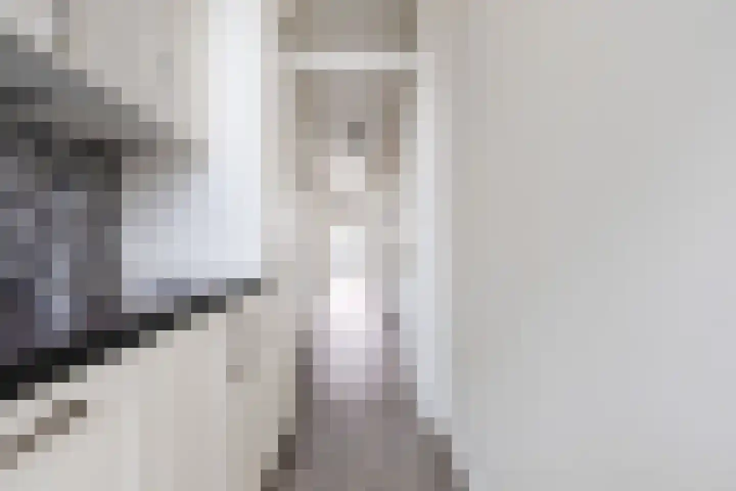 Cornelis van der Lijnstraat 1 D Den Haag thumbnail 14