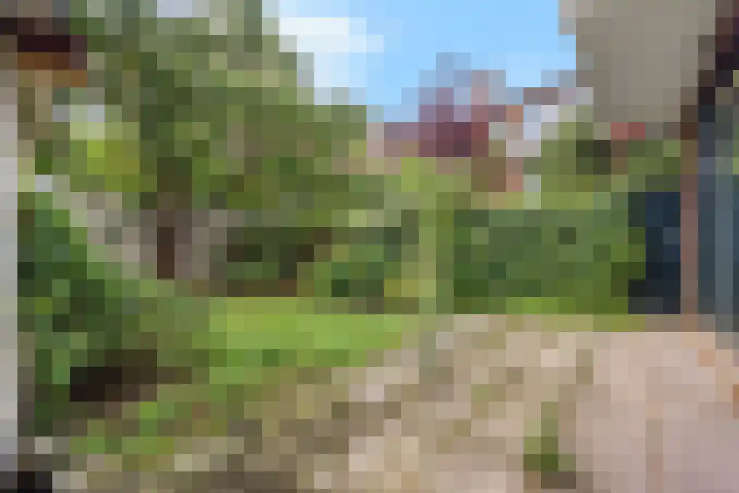 Cornelis van der Lijnstraat 1 Den Haag thumbnail 11