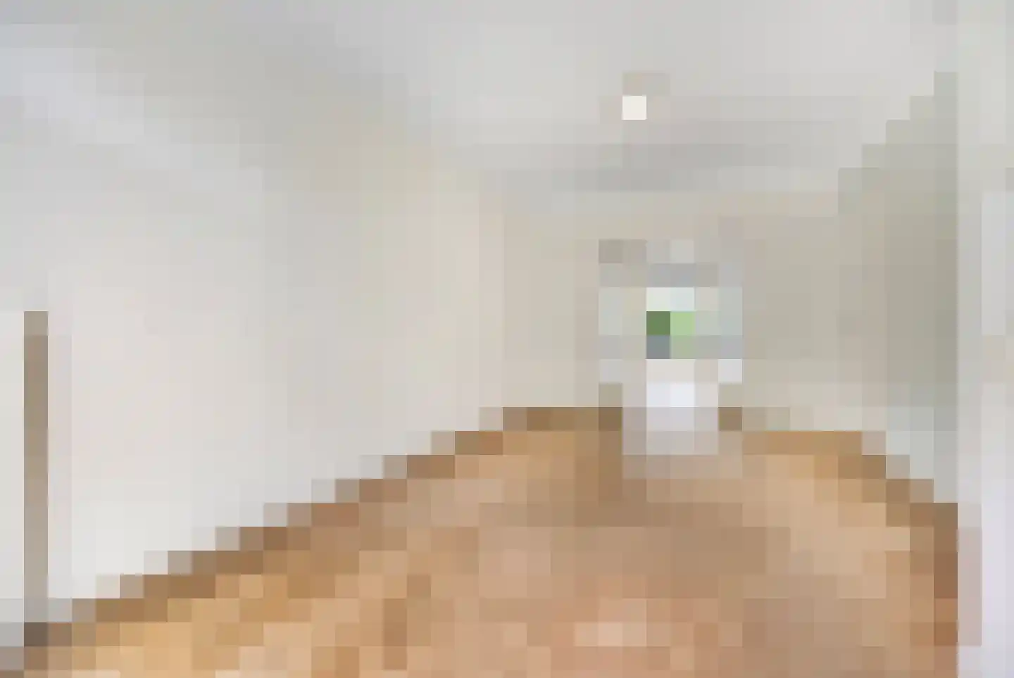 Cornelis van der Lijnstraat 1 Den Haag thumbnail 12
