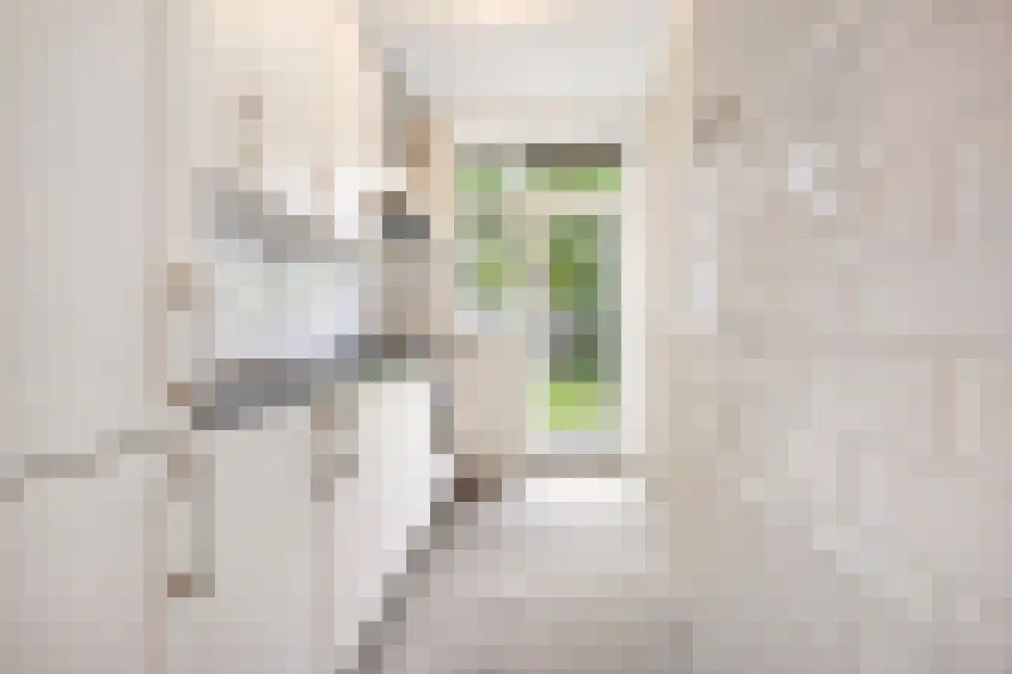 Cornelis van der Lijnstraat 1 Den Haag thumbnail 15