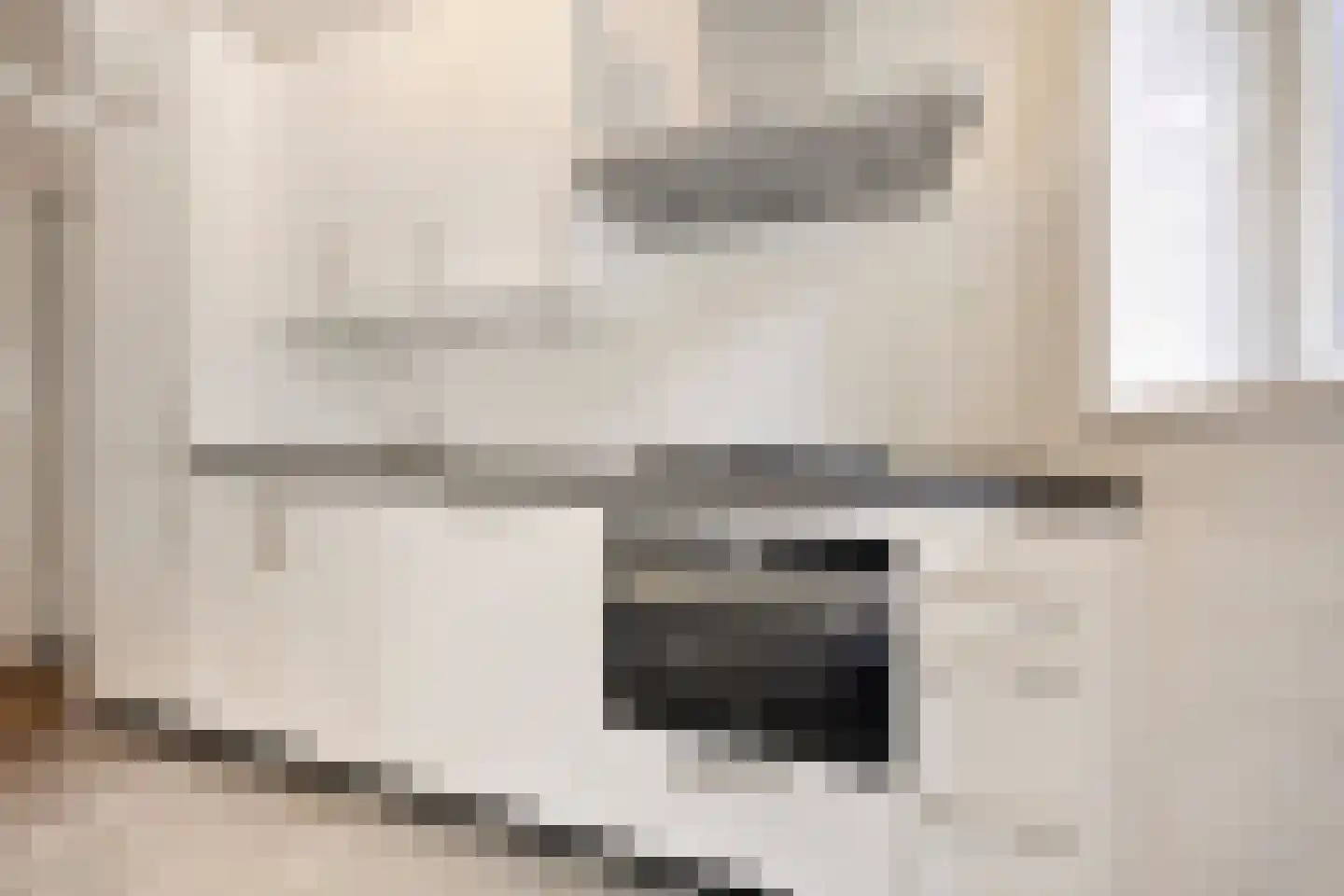 Cornelis van der Lijnstraat 1 Den Haag thumbnail 16