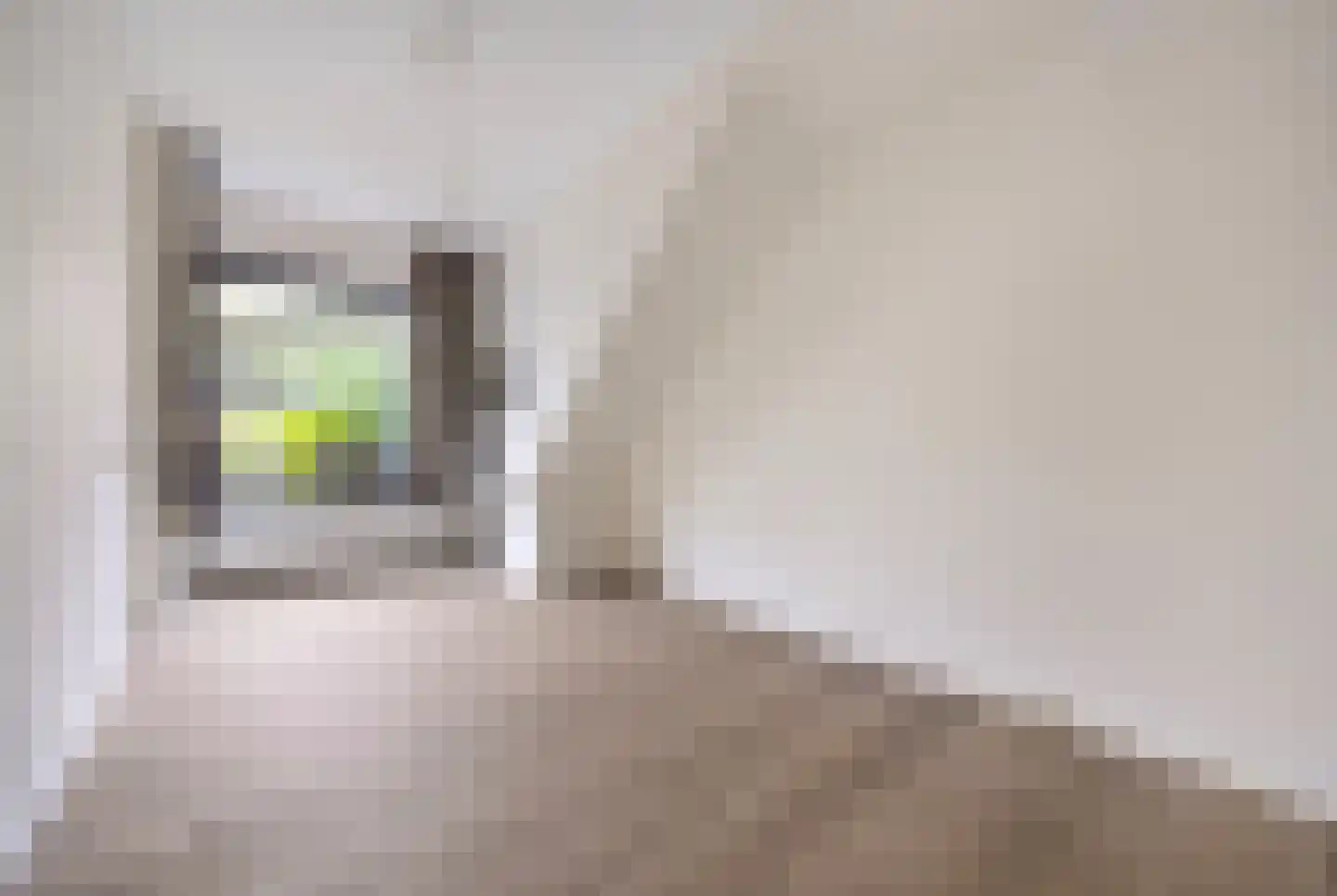 Cornelis van der Lijnstraat 1 Den Haag thumbnail 19