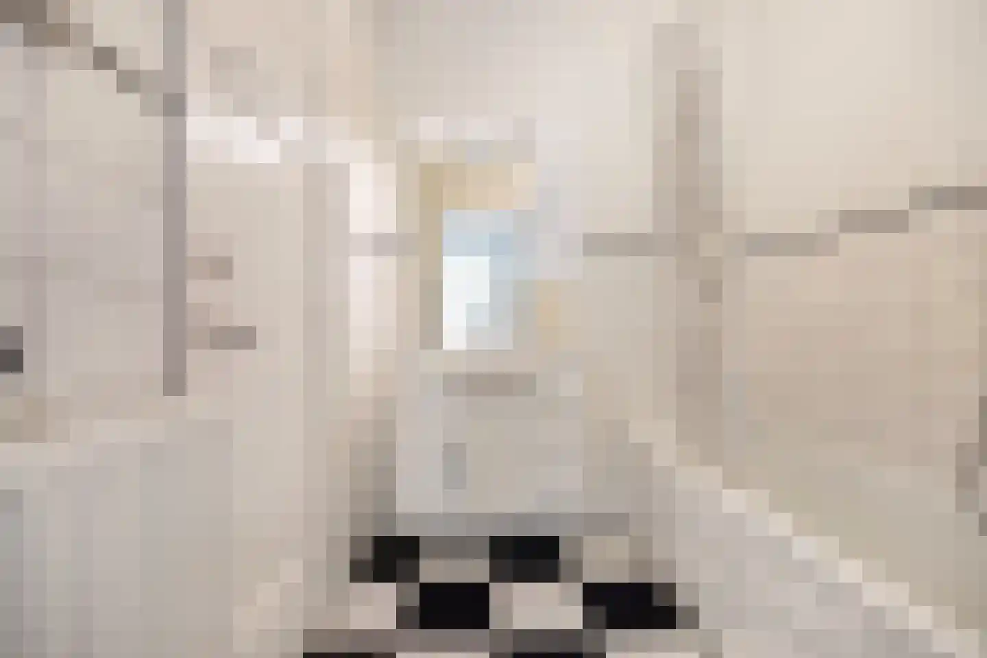 Cornelis van der Lijnstraat 1 Den Haag thumbnail 23