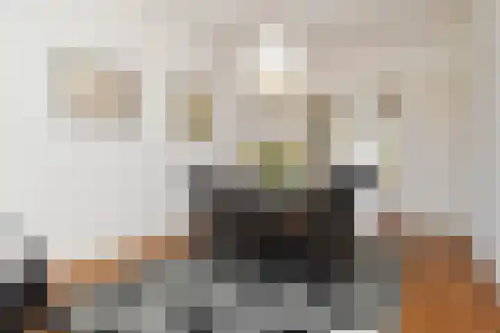 Cornelis van der Lijnstraat 104 Den Haag thumbnail 11