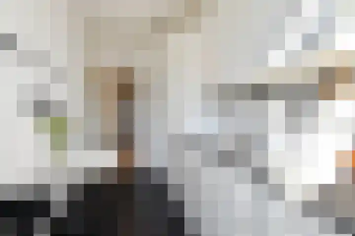 Cornelis van der Lijnstraat 104 Den Haag thumbnail 12