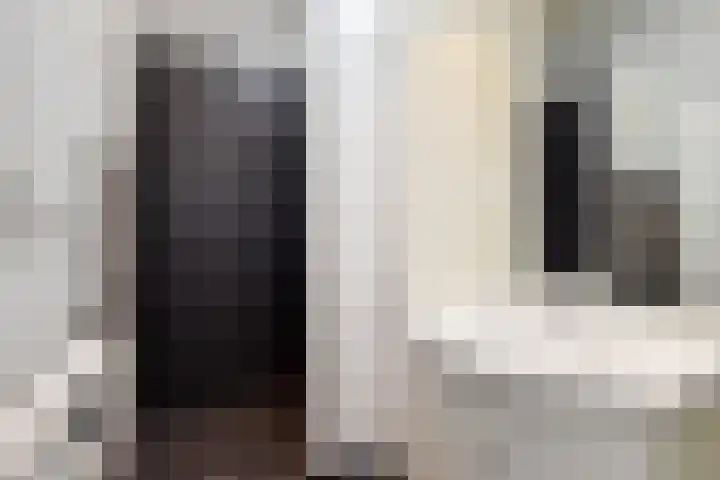 Cornelis van der Lijnstraat 104 Den Haag thumbnail 18