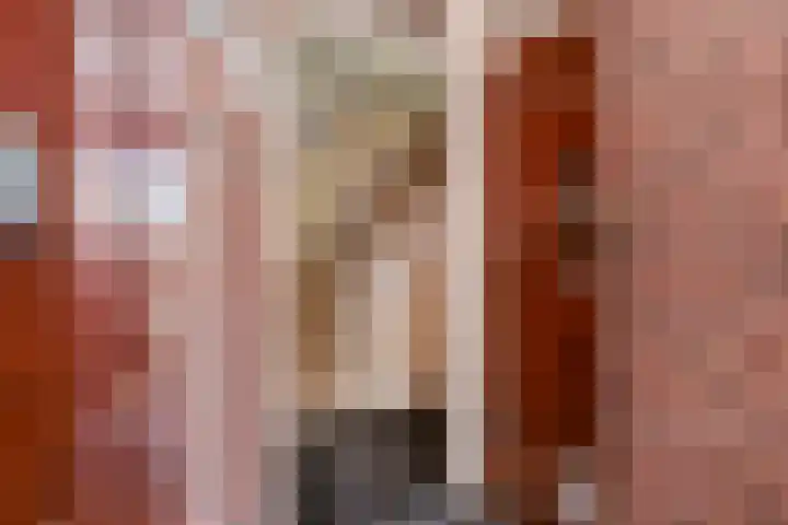 Cornelis van der Lijnstraat 104 Den Haag thumbnail 22