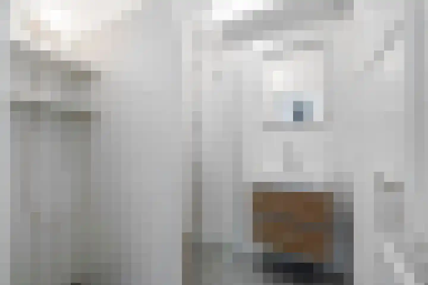 Cornelis van der Lijnstraat 11 Den Haag thumbnail 18