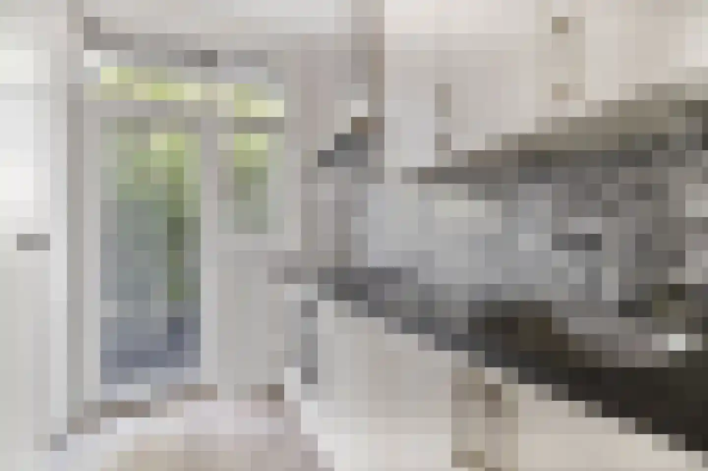 Cornelis van der Lijnstraat 11 Den Haag thumbnail 7